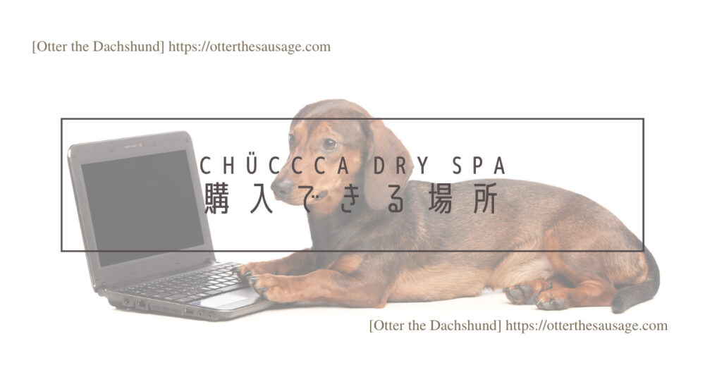 Blog Header image_CHUCCCA dry spa_dog item_犬グッズ_グルーミング_ペット用美容器_オゾン発生器_チュッカドライスパ_購入できる場所